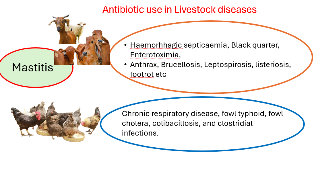 Slide 7